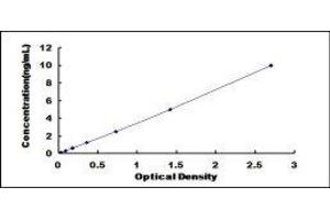 Peripherin (PRPH) ELISA Kit