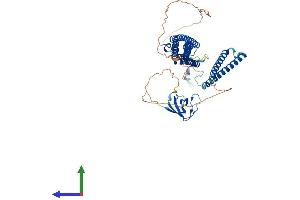 AlphaFold protein structure predicition of Mouse Recombinant Fnbp1l Protein, UniprotID Q8K012