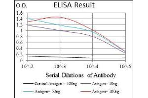 Black line: Control Antigen (100 ng), Purple line: Antigen(10 ng), Blue line: Antigen (50 ng), Red line: Antigen (100 ng), (FAS Antikörper)