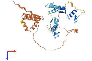 OSR2 Protein (AA 1-312) (His tag)
