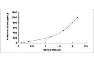 ELISA image for Hepatocyte Growth Factor (Hepapoietin A, Scatter Factor) (HGF) ELISA Kit (ABIN415597)