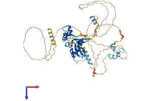 SOCS5 Protein (AA 1-536) (His tag)