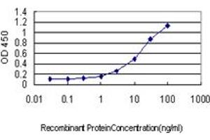 Detection limit for recombinant GST tagged PSIP1 is approximately 1ng/ml as a capture antibody. (PSIP1 Antikörper  (AA 1-50))