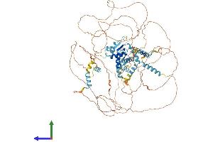 Protein Structure (PS) image for E2F Transcription Factor 8 (E2F8) (AA 1-867) protein (His tag) (ABIN7553765)