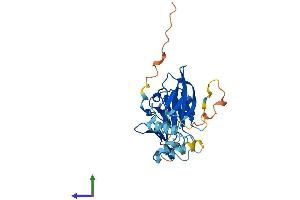 Protein Structure (PS) image for Neuralized Homolog 2 (NEURL2) (AA 1-285) protein (His tag) (ABIN7549829)