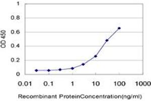 Detection limit for recombinant GST tagged ZIC1 is approximately 1ng/ml as a capture antibody. (ZIC1 Antikörper  (AA 2-95))