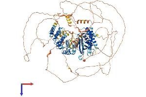 PSD Protein (AA 1-1024) (His tag)