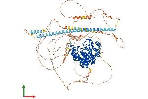 Protein Structure (PS) image for Histone Deacetylase 9 (HDAC9) (AA 1-1011) protein (His tag) (ABIN7554091)