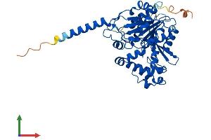 Protein Structure (PS) image for Abhydrolase Domain Containing 1 (ABHD1) (AA 1-405) protein (His tag) (ABIN7551822)
