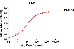 ELISA plate pre-coated by 1 μg/mL (100 μL/well) Human FAP protein, His tagged protein (ABIN7092782) can bind Rabbit anti-FAP monoclonal antibody(clone: DM154) in a linear range of 1-500 ng/mL. (FAP Antikörper  (AA 30-760))