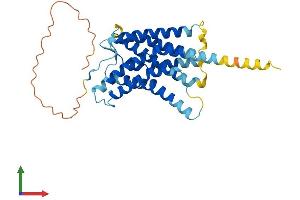 Protein Structure (PS) image for Duffy Blood Group, Chemokine Receptor (DARC) (AA 1-334) protein (His tag) (ABIN7565127)