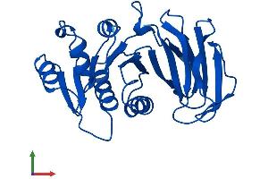 Protein Structure (PS) image for Thiamin Pyrophosphokinase 1 (TPK1) (AA 1-243) protein (His tag) (ABIN7556188)