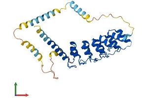Protein Structure (PS) image for Ankyrin Repeat Domain 1 (Cardiac Muscle) (ANKRD1) (AA 1-319) protein (His tag) (ABIN7560608)