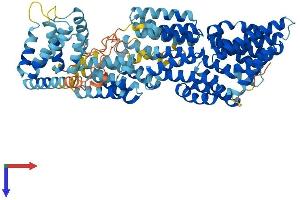 ANAPC5 Protein (AA 1-755) (His tag)