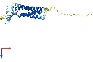 Claudin 4 Protein (CLDN4) (AA 1-210) (His tag)