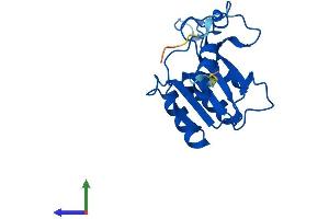 Protein Structure (PS) image for DCMP Deaminase (DCTD) (AA 1-178) protein (His tag) (ABIN7547013)