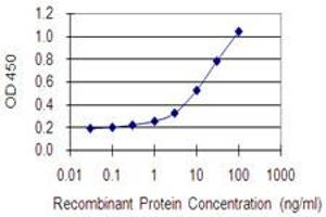 ELISA image for anti-ArfGAP with GTPase Domain, Ankyrin Repeat and PH Domain 1 (AGAP1) (AA 672-781) antibody (ABIN1774871)