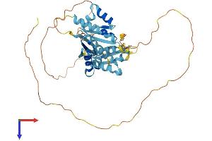 PCBP4 Protein (AA 1-403) (His tag)