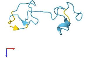 MT1H Protein (AA 1-61) (Fc Tag)