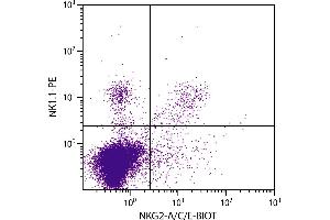 C57BL/6 mouse splenocytes were stained with Rat Anti-Mouse NKG2-A/C/E-BIOT and Mouse Anti-Mouse NK1. (NKG2A/C/E Antikörper)