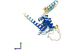 Protein Structure (PS) image for Ankyrin Repeat Domain 1 (Cardiac Muscle) (ANKRD1) (AA 1-319) protein (His tag) (ABIN7560608)