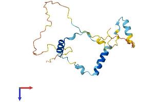 MEA1 Protein (AA 1-174) (His tag)