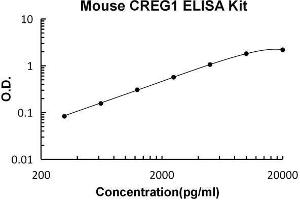Cellular Repressor of E1A-Stimulated Genes 1 (CREG1) ELISA Kit