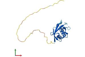 Protein Structure (PS) image for Autophagy Related 12 (ATG12) (AA 1-140) protein (His tag) (ABIN7552400)