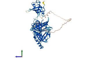 AlphaFold protein structure predicition of Mouse Recombinant Rpa1 Protein, UniprotID Q8VEE4