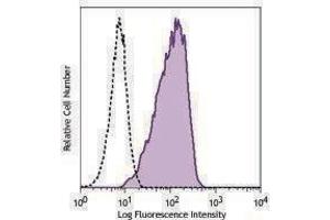 Flow Cytometry (FACS) image for anti-VEGF Receptor 2 (VEGFR2) antibody (ABIN2664545) (VEGFR2/CD309 Antikörper)