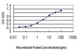 Detection limit for recombinant GST tagged LEP is approximately 0. (Leptin Antikörper  (AA 22-167))