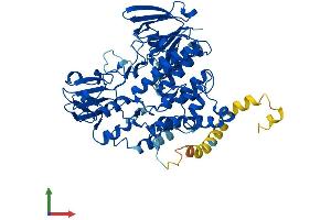Protein Structure (PS) image for Flavin Containing Monooxygenase 4 (FMO4) (AA 1-558) protein (His tag) (ABIN7547728)