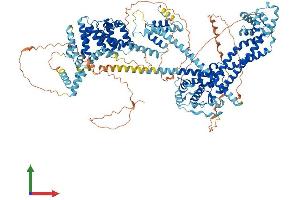 Protein Structure (PS) image for Diaphanous Homolog 3 (Drosophila) (DIAPH3) (AA 1-1171) protein (His tag) (ABIN7565287)