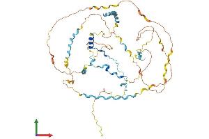 Protein Structure (PS) image for WAS/WASL Interacting Protein Family, Member 3 (WIPF3) (AA 1-483) protein (His tag) (ABIN7545178)