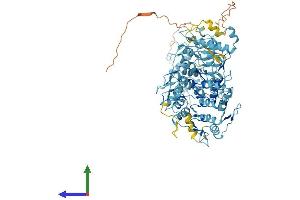 AlphaFold protein structure predicition of Human Recombinant ZNF585A Protein, UniprotID Q6P3V2