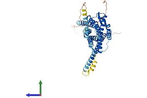 AlphaFold protein structure predicition of Mouse Recombinant Oxtr Protein, UniprotID P97926