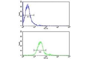 Flow Cytometry (FACS) image for anti-Receptor Tyrosine Kinase-Like Orphan Receptor 1 (ROR1) (AA 32-62) antibody (ABIN3032441)