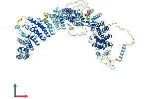 AlphaFold protein structure predicition of Mouse Recombinant Tti1 Protein, UniprotID Q91V83