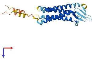 TMEM37 Protein (AA 1-211) (His tag)