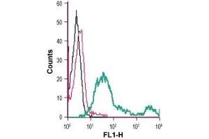 Cell surface detection of Semaphorin 4D in mouse TK-1 T-cell lymphoma cells: (black line) Cells.