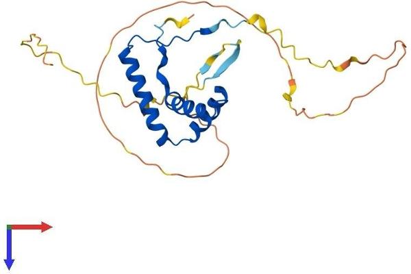 SOX14 Protein (AA 1-240) (His tag)