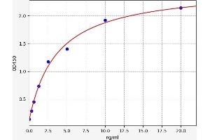 slc25a13 ELISA Kit