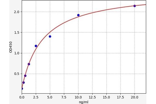 slc25a13 ELISA Kit