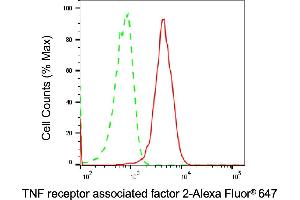 Flow cytometric analysis of TNF receptor associated factor 2 expression in HAP-1 cells using TNF receptor associated factor 2 antibody (ABIN7800563), 1:2,000). (Rekombinanter TRAF2 Antikörper)