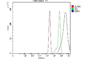 Flow Cytometry analysis of CACO-2 cells using anti-Drebrin/DBN1 antibody (ABIN7602638).