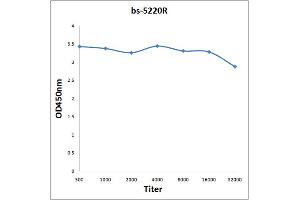 Antigen: 0. (Bcl-2 Antikörper  (pThr129))