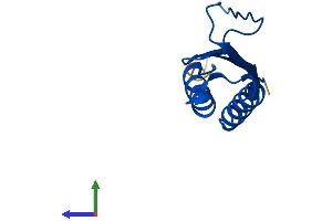 Protein Structure (PS) image for Dynein, Light Chain, Tctex-Type 3 (DYNLT3) (AA 1-116) protein (His tag) (ABIN7556471)