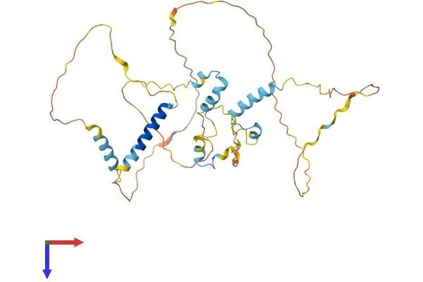 FAM110B Protein (AA 1-366) (His tag)