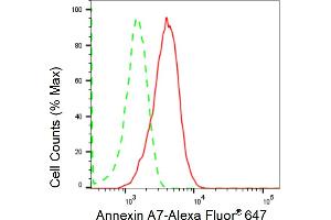 Flow cytometric analysis of Annexin A7 expression in HepG2 cells using Annexin A7 antibody (ABIN7797625), 1:2,000). (Rekombinanter Annexin VII Antikörper)