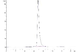 Size-exclusion chromatography-High Pressure Liquid Chromatography (SEC-HPLC) image for CD27 Molecule (CD27) (AA 21-192) protein (His tag) (ABIN7274108)